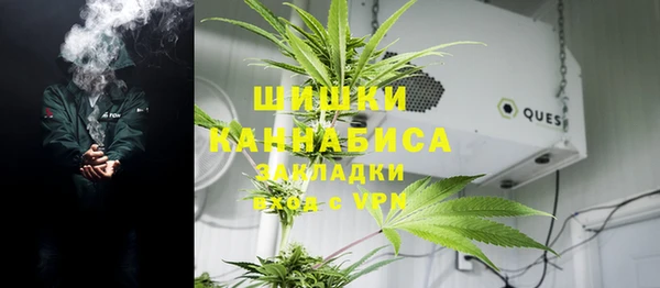 трава Надым