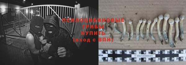 трава Надым