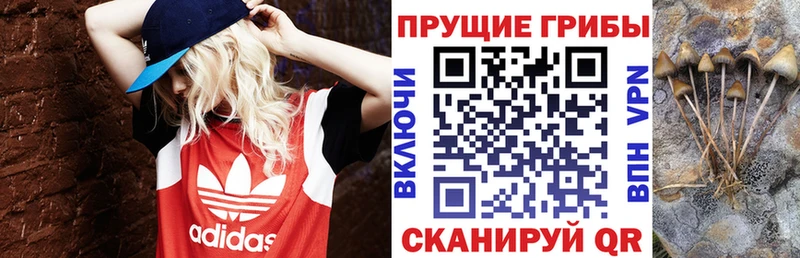 Купить где Чухлома Галлюциногенные грибы мухоморы